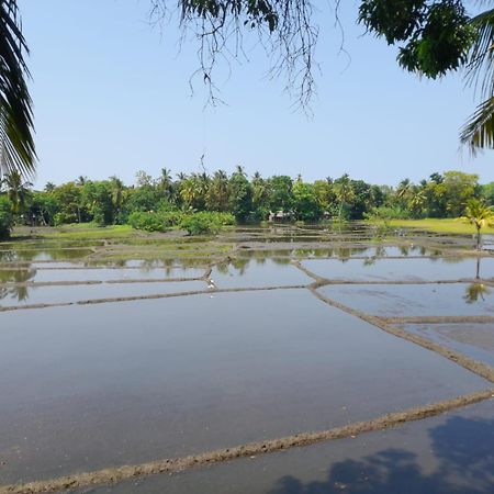 Man Guest Polonnaruwa Hotel Exterior photo