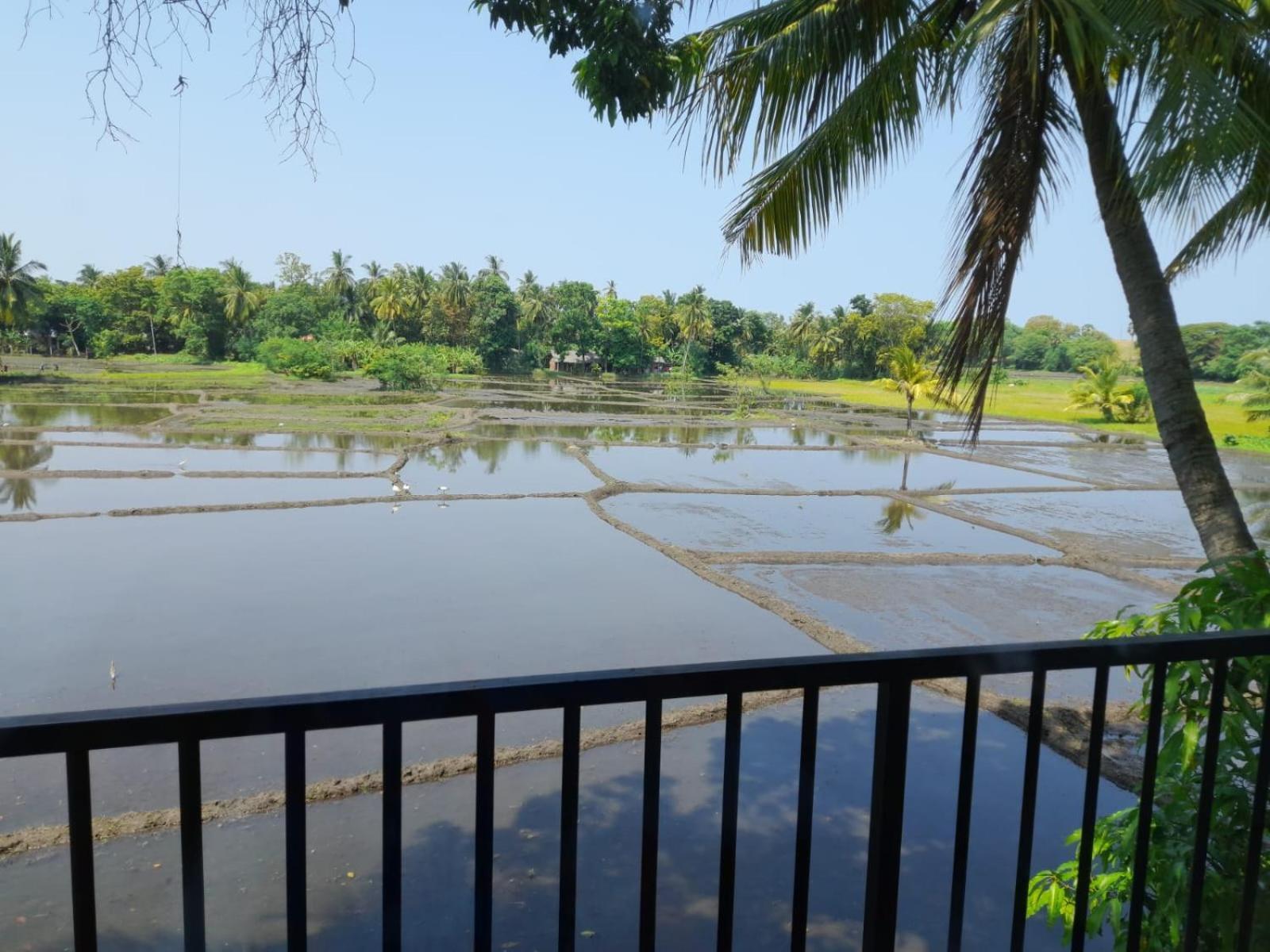 Man Guest Polonnaruwa Hotel Exterior photo