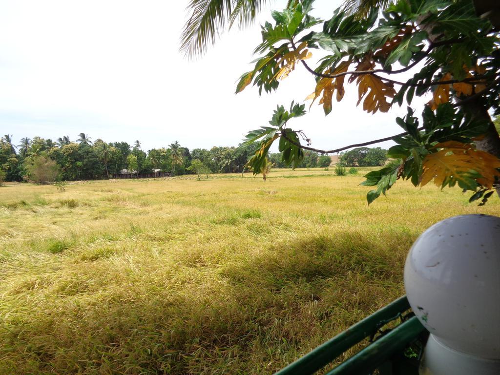 Man Guest Polonnaruwa Hotel Exterior photo