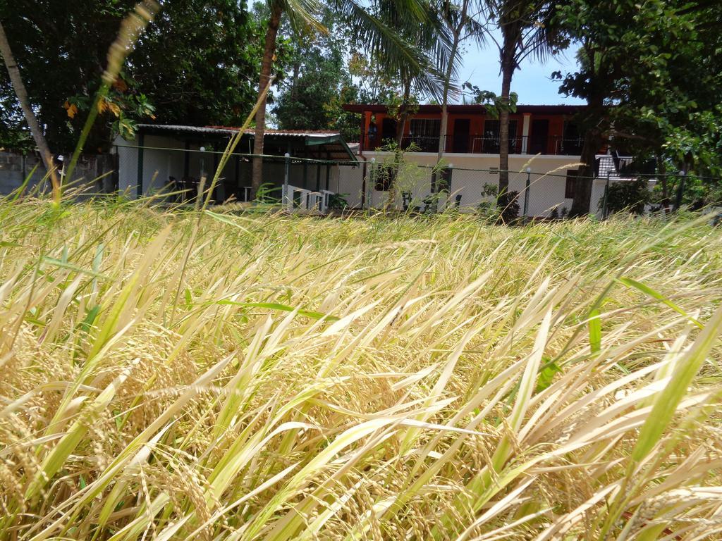 Man Guest Polonnaruwa Hotel Exterior photo